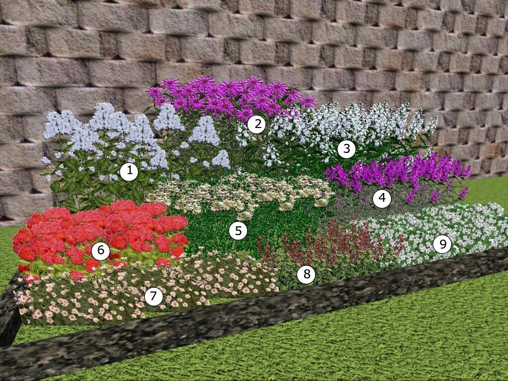 Как правильно расположить цветы на клумбе фото