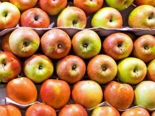 Как сохранить яблоки до весны или даже до следующего урожая свежими –лучшие способы хранения