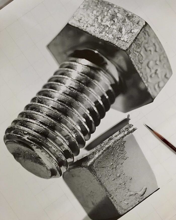 Фото: boredpanda.com