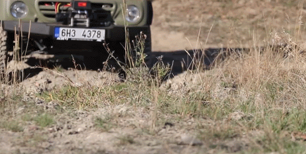 Источник фото: VK.com