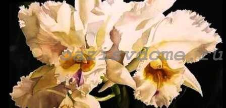  Цветок Каттлея – это орхидея, которая относится к травянистым растениям.