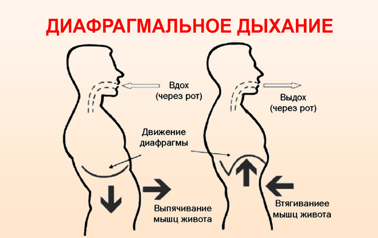 Схема дыхания диафрагмой