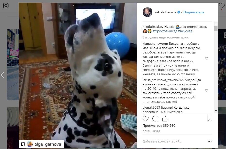 Певец опубликовал в Instagram видео подпевающей ему собаки. 
