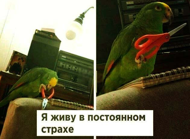 Но ведь он просто помогает по дому!