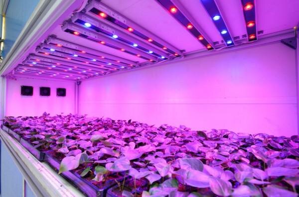 фото с сайта finelighting.ru