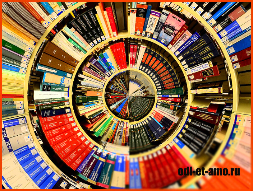 До появления интернета самым главным источником знания оставались книги. Литература шагнула далеко вперед. Теперь авторы стремились не просто напечатать свое произведение в столичном «Вестнике», а выпустить творение отдельным экземпляром, желательно массовым тиражом.