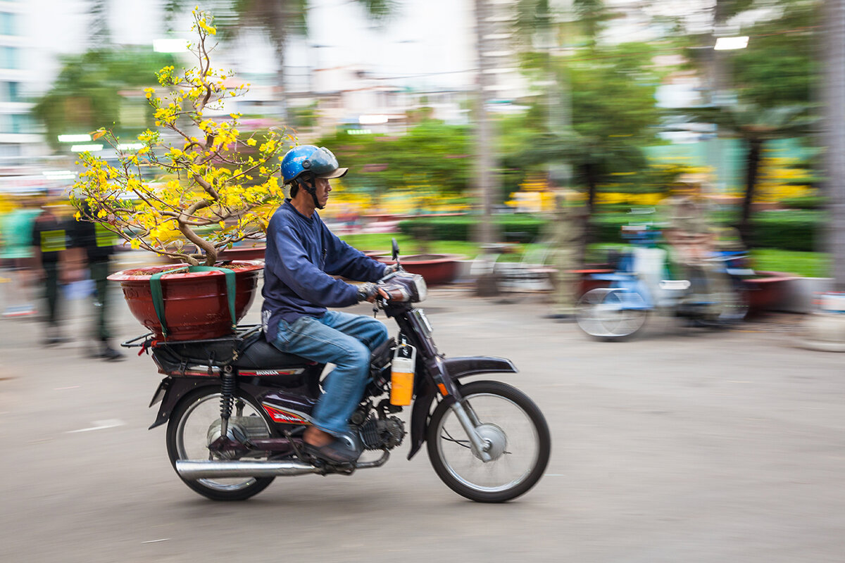 Перевозка новогоднего дерева