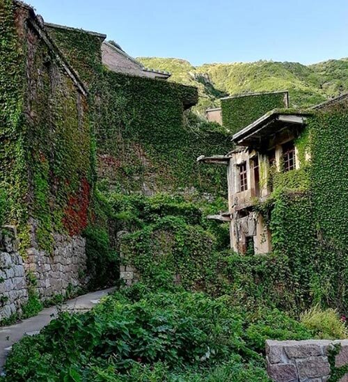 Необычная зеленая сказка Китая