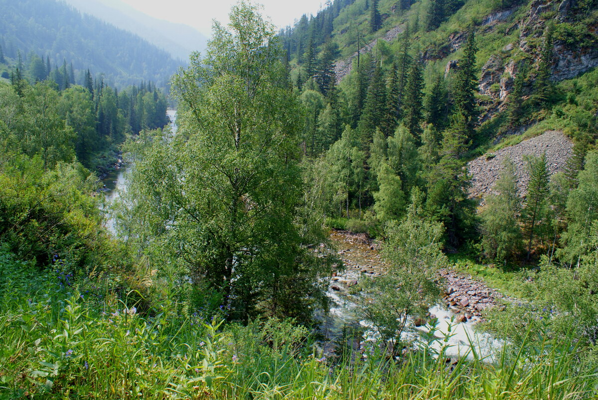алтай дзен. катунь в мае. горы алтая чемал. озеры и реки алтая. алтай дзен.