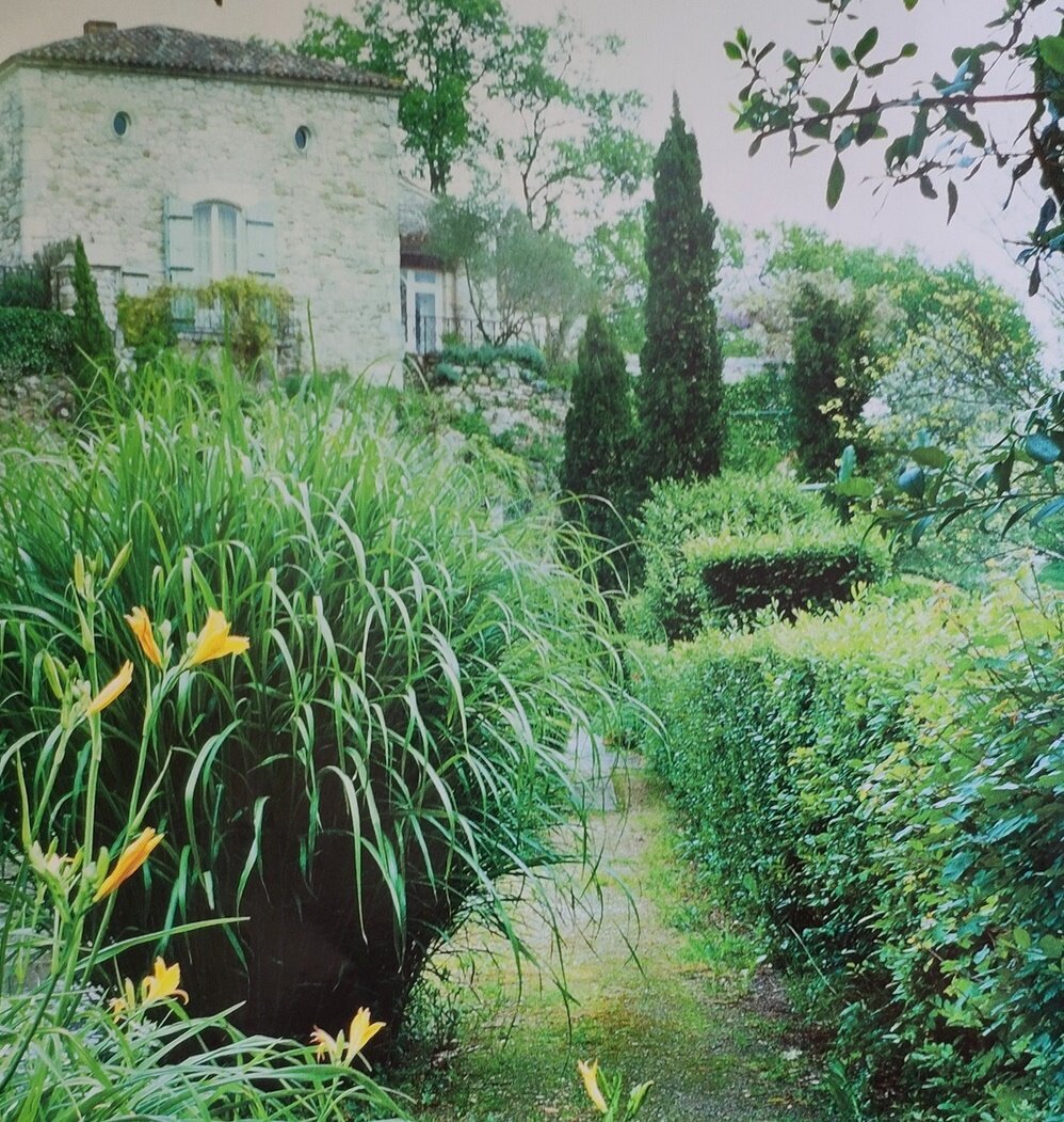 Пейзаж парка