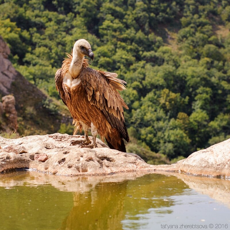 Как вам увидеть такое в видоискателе?