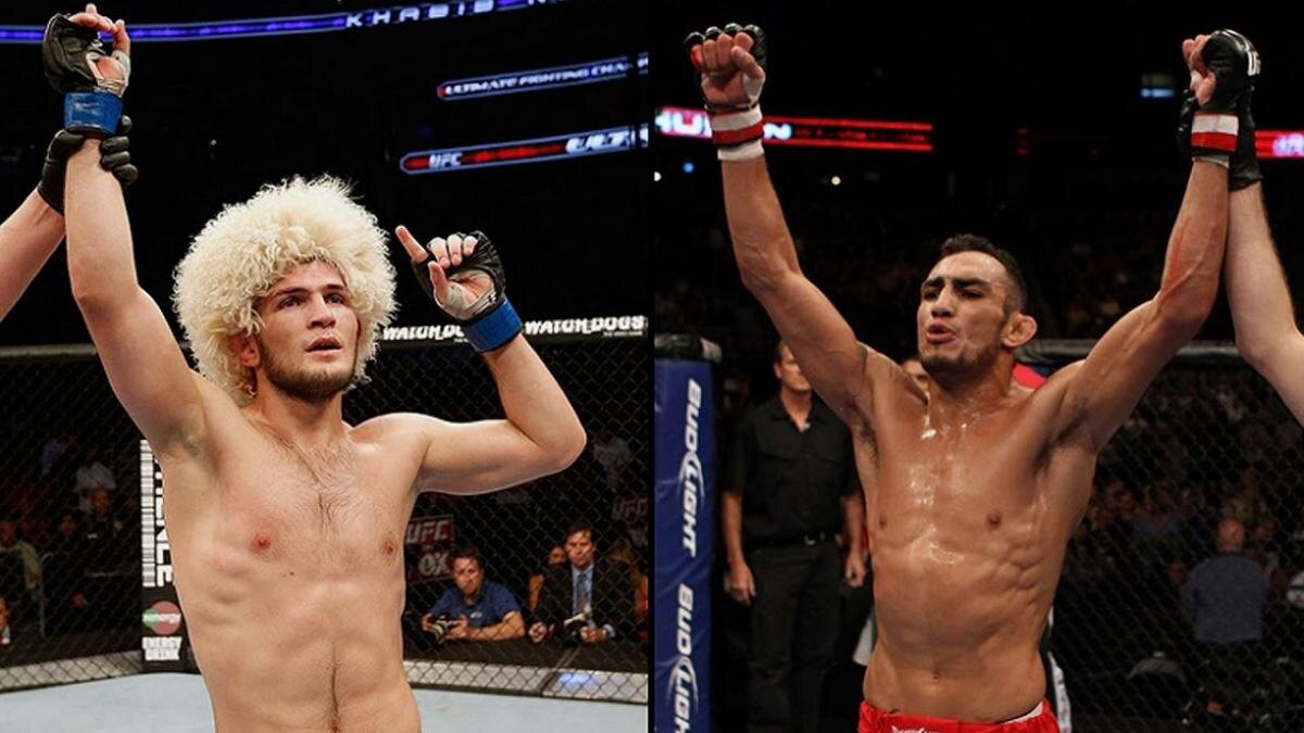 ХАБИБ против Тони