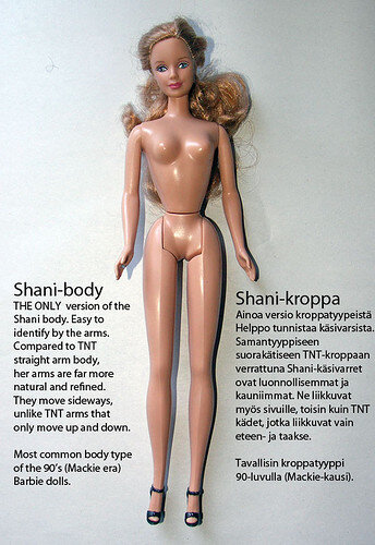 Barbie shani body sale