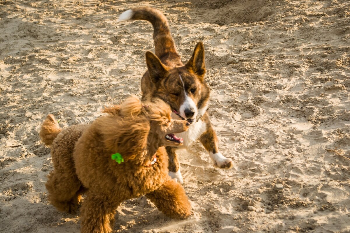 Фото из личного архива