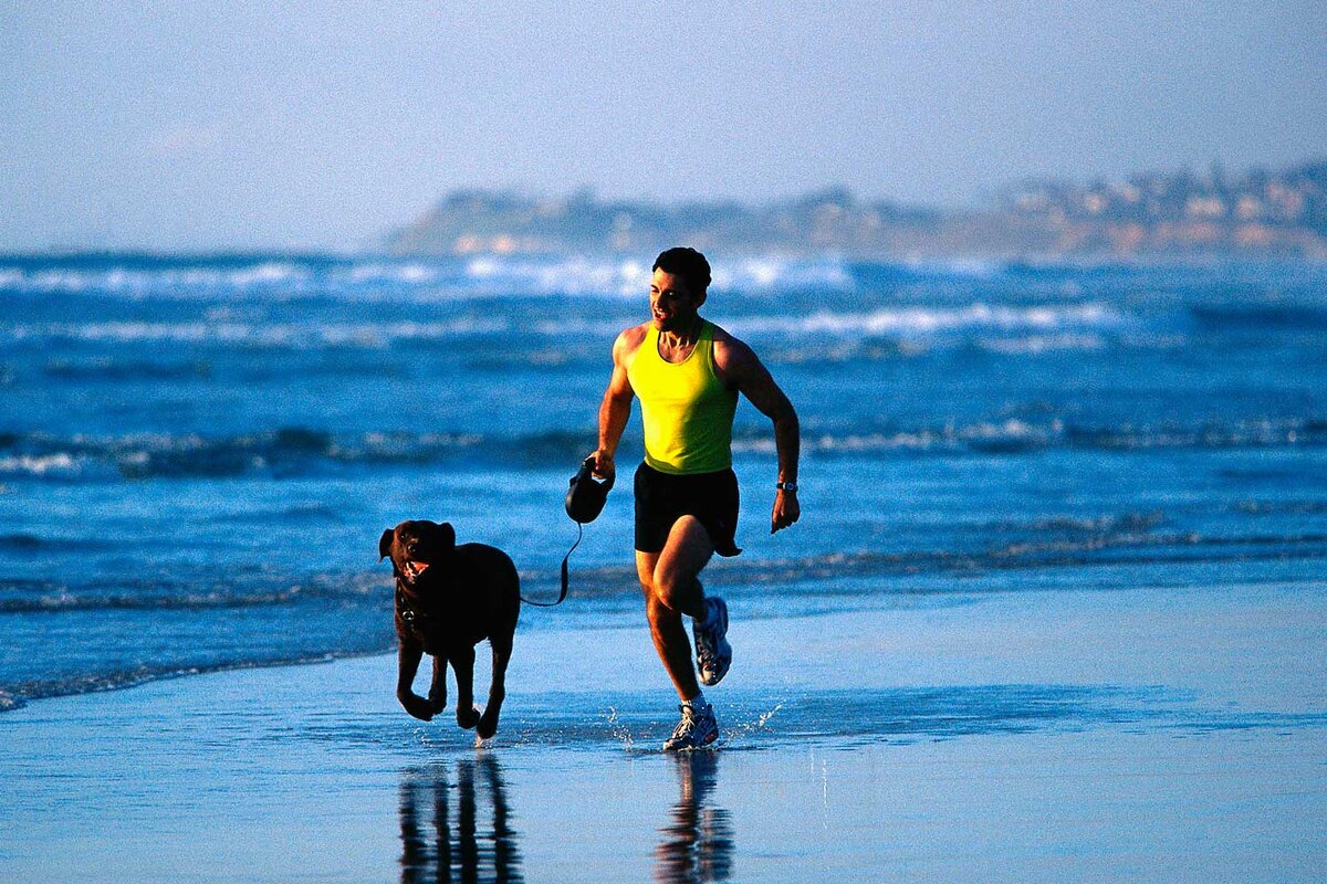   Яндекс картинки