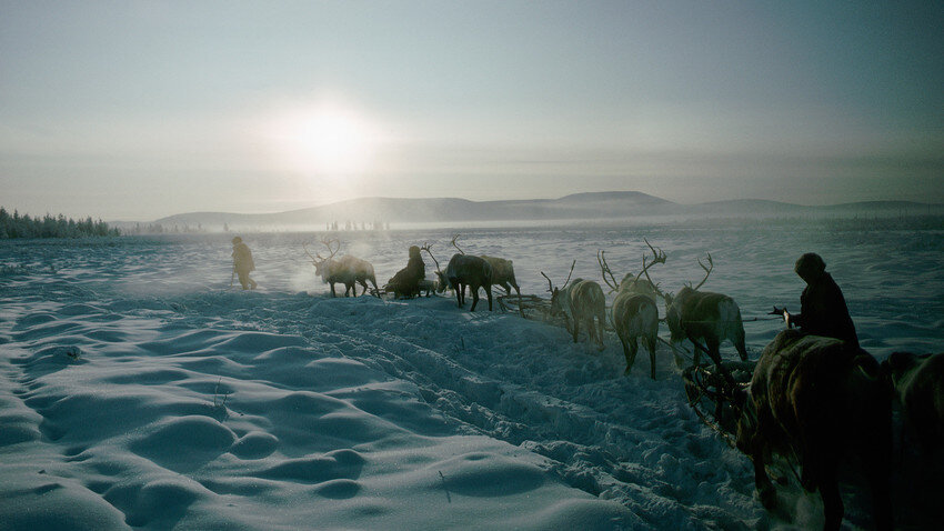 Оленеводы пересекают Тайгу на санях (c) Getty Images