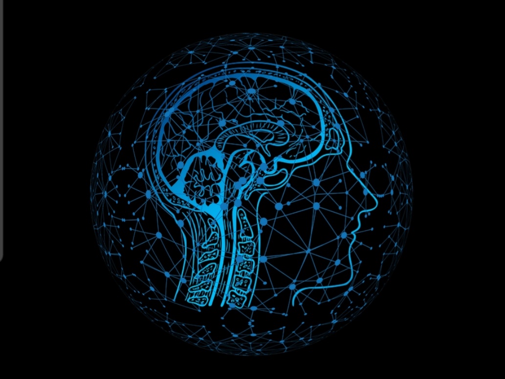 Лицензия на использование