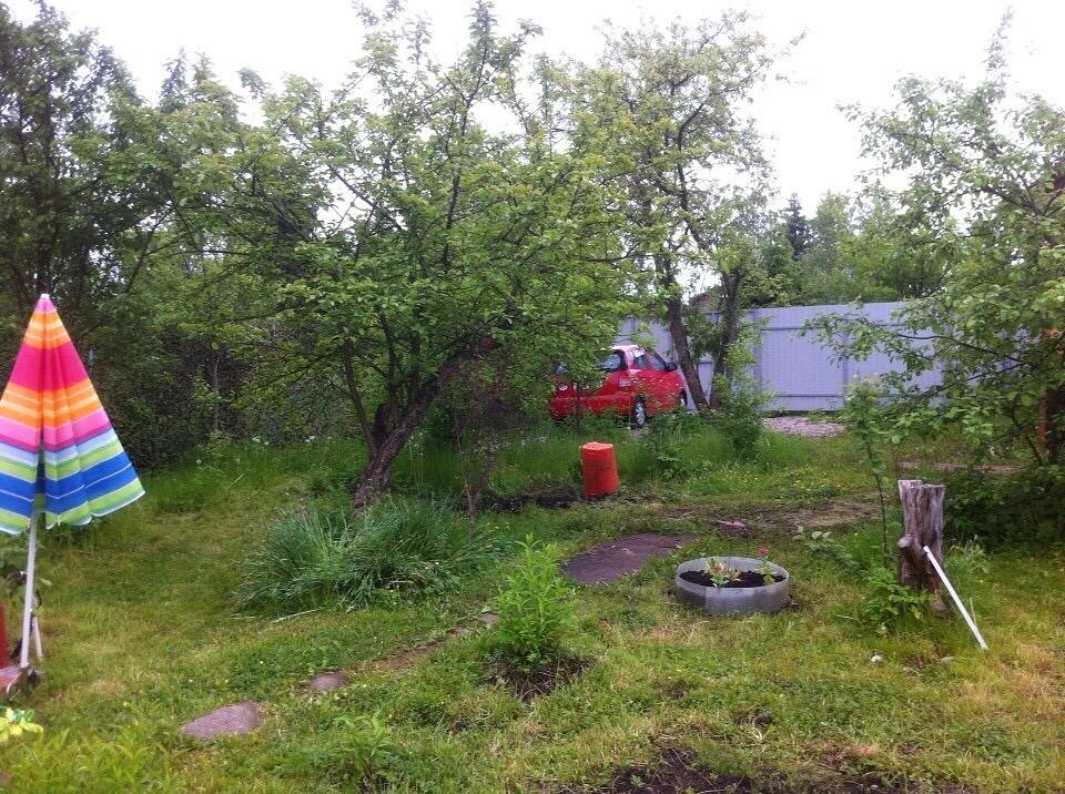 С этого начиналась моя дачная жизнь и история.