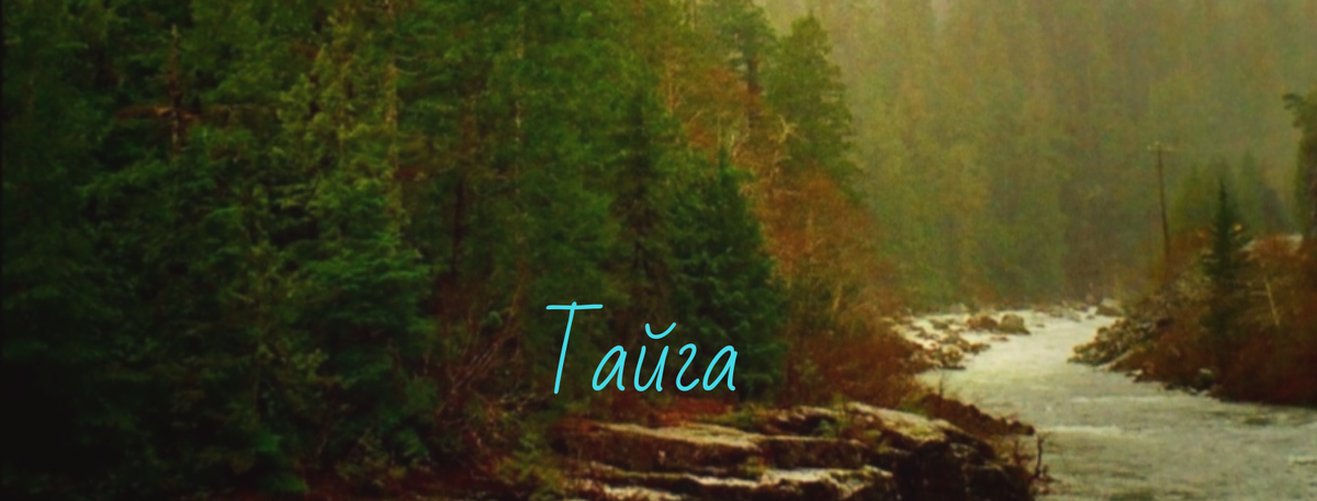 Взято из источника