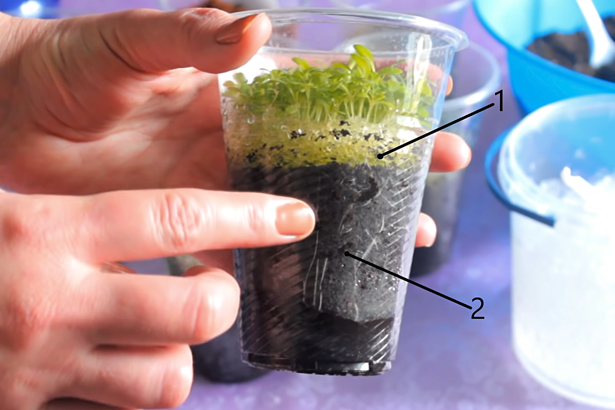 1 ─ гидрогель, 2 ─ слой грунта.