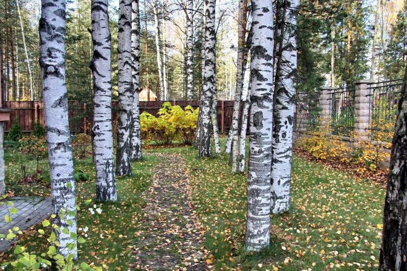 Места такие красотки требуют немало). Фото с Яндекс Картинки