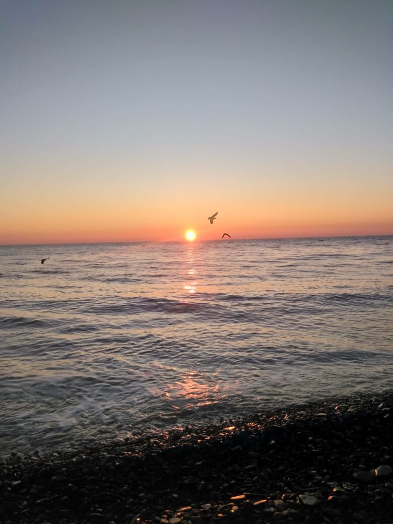 Все очень хотят на море! Фото автора.