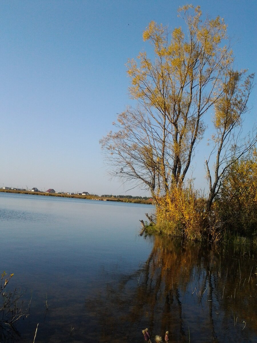 Осень в Пычанках