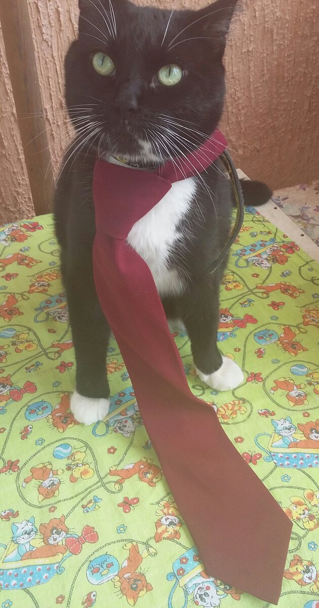 Личный архив.