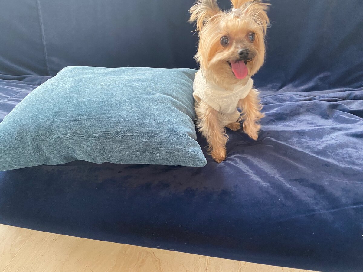 При всем желании - эта забава не для меня!)