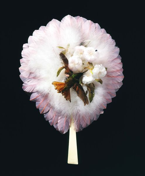 Веер с колибри, 1880-е, Бразилия. (с) Из коллекции музея Виктории и Альберта (Лондон)