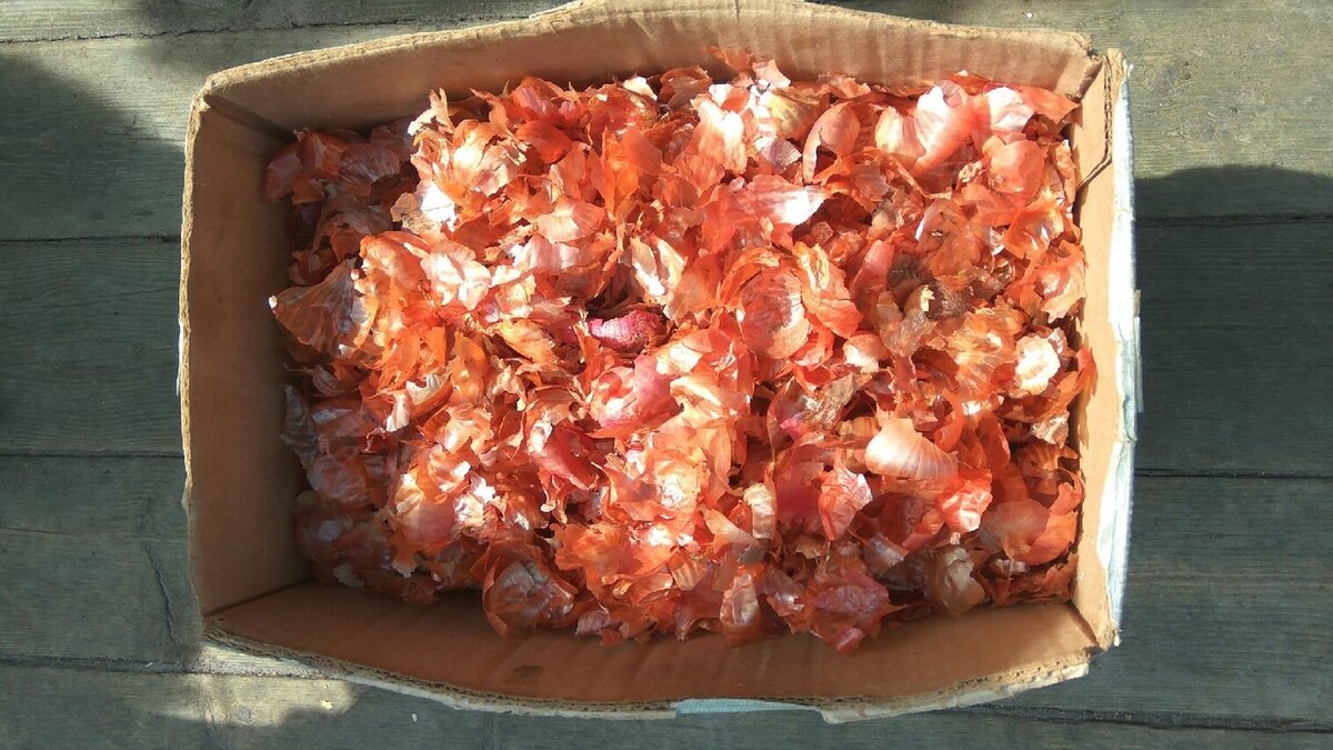 Луковая шелуха