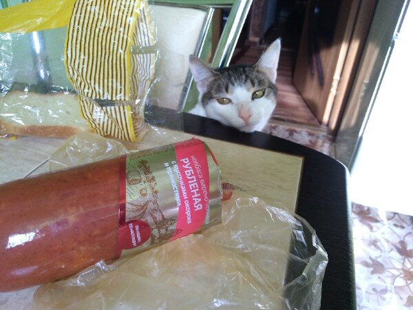 Ммм... какая вкусная колбаска,как только людишки отвернуться  я её съем!!!.👀