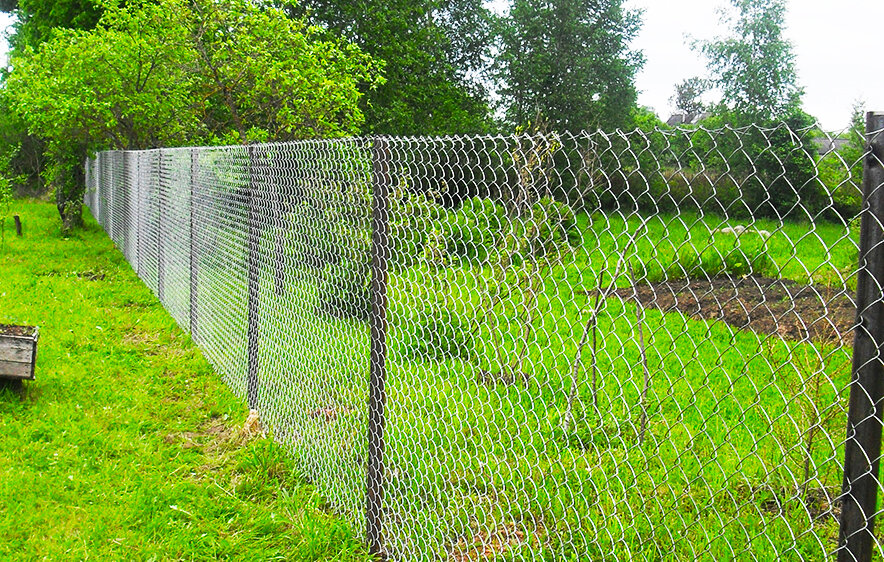 Рассказываю, как закрыть забор из рябици, чтобы соседи больше никогда не подглядывали за вам.