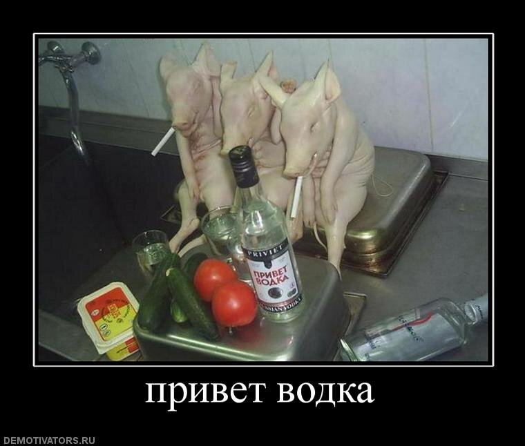 Изображение из сети Интернет и в свободном доступе.