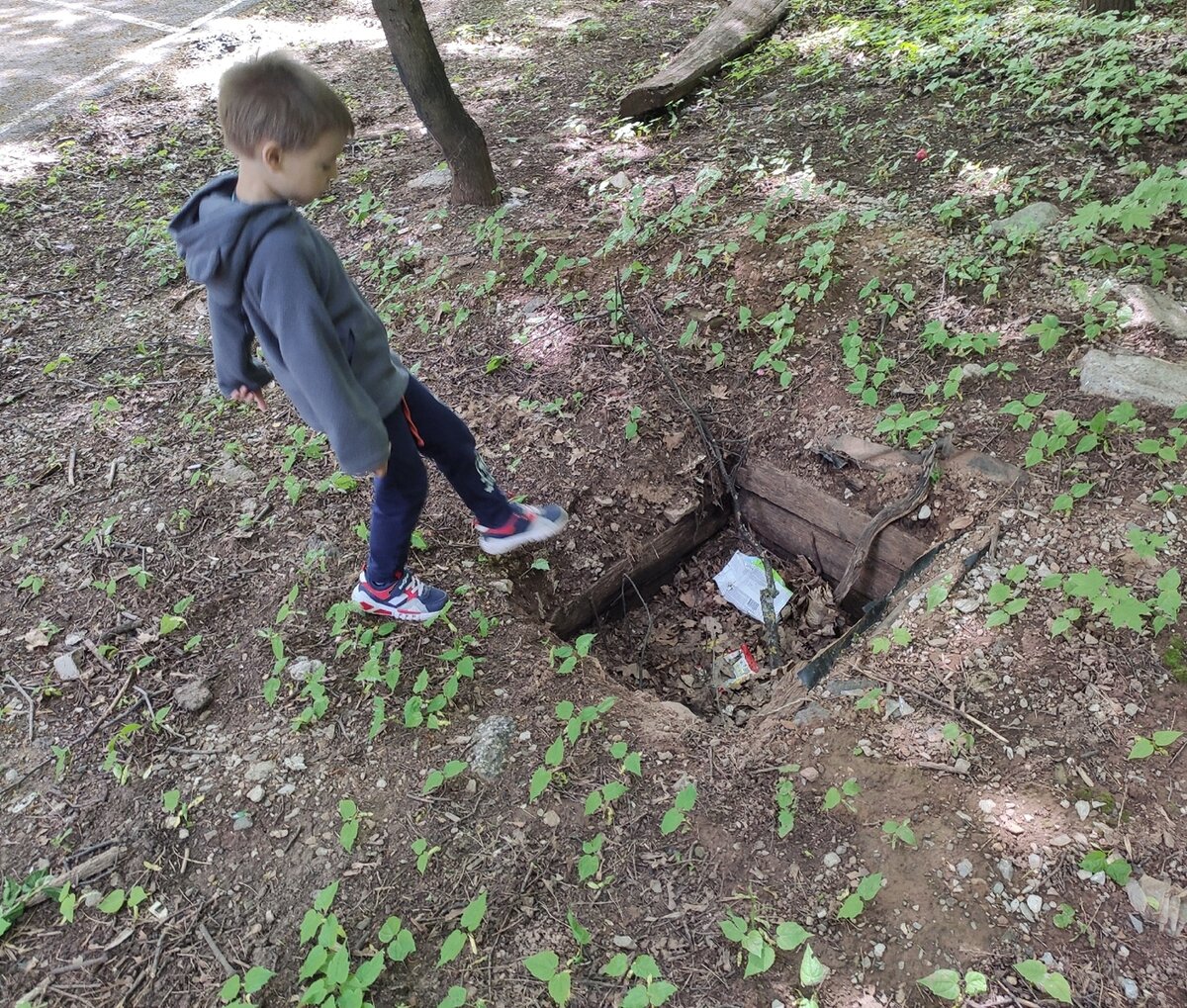 Случайно узнал, что думает сын про грязный Авто соседа. Стало неловко |  Заметки молодого отца | Дзен