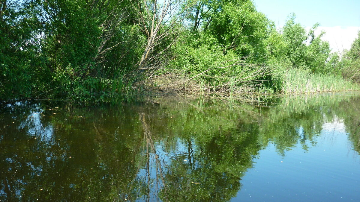 Как можно помочь воде