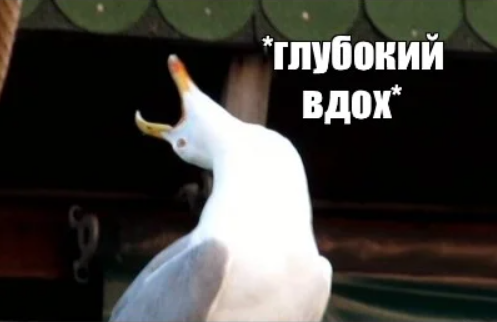 Глубокий вдох и вперед!