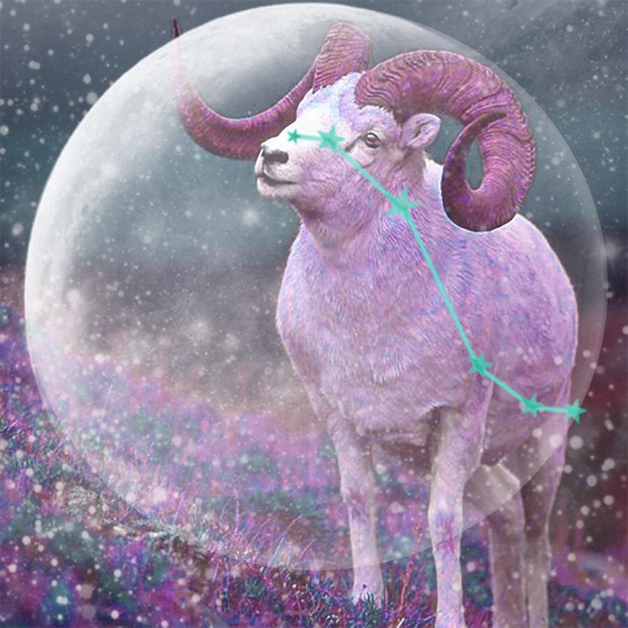 Автор: Лидия Бережная