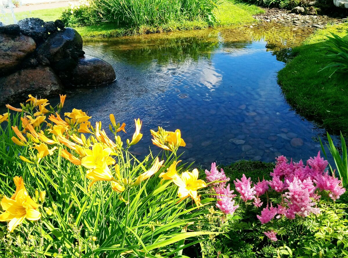 Листайте! Несколько фотографий общего плана. 