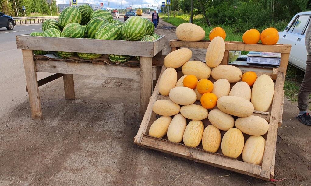 Фото – Россельхознадзор по Кировской области