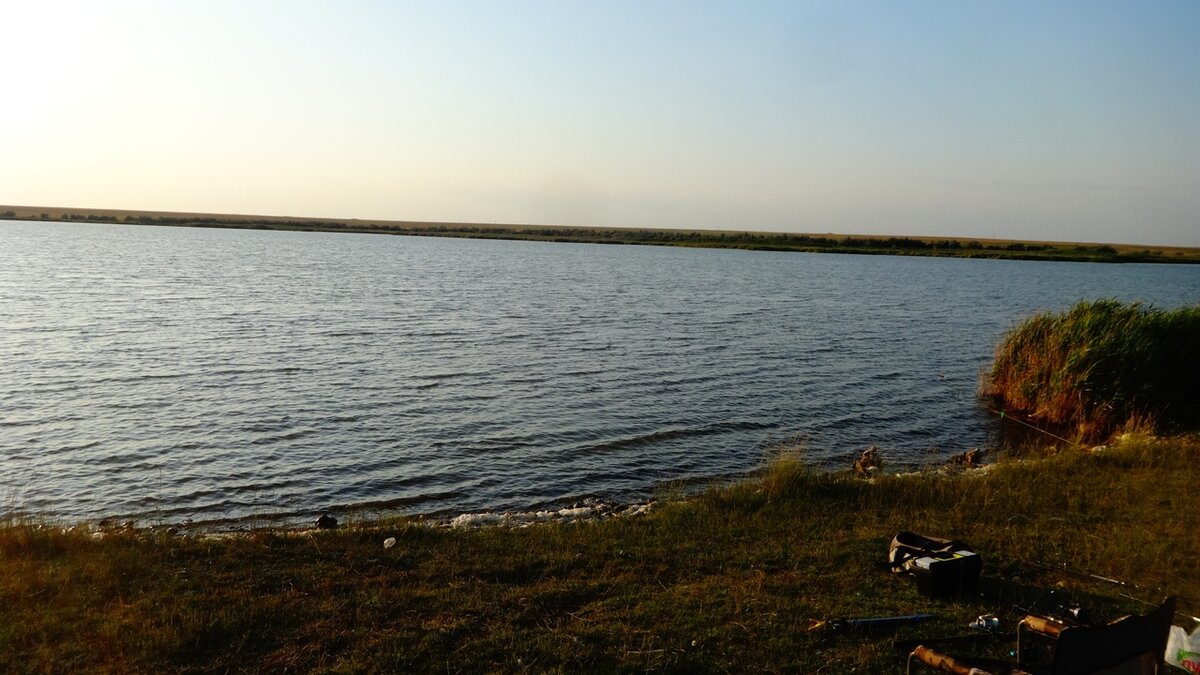 Фото автора.