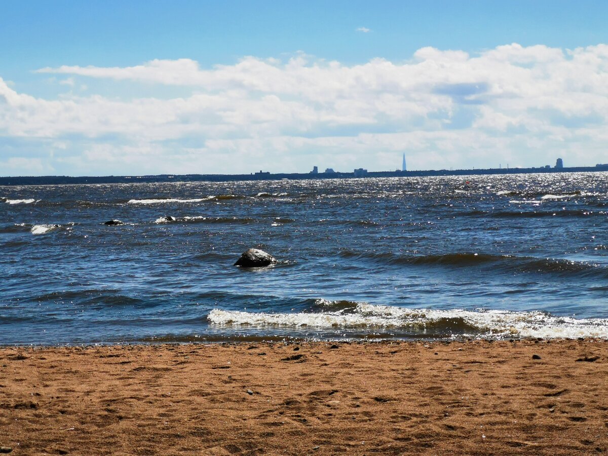 В заливе вода соленая или пресная. Финский залив в Санкт-Петербурге. Загрязнённый финский залив. Финский залив Балтийского моря. Финский залив Питер.