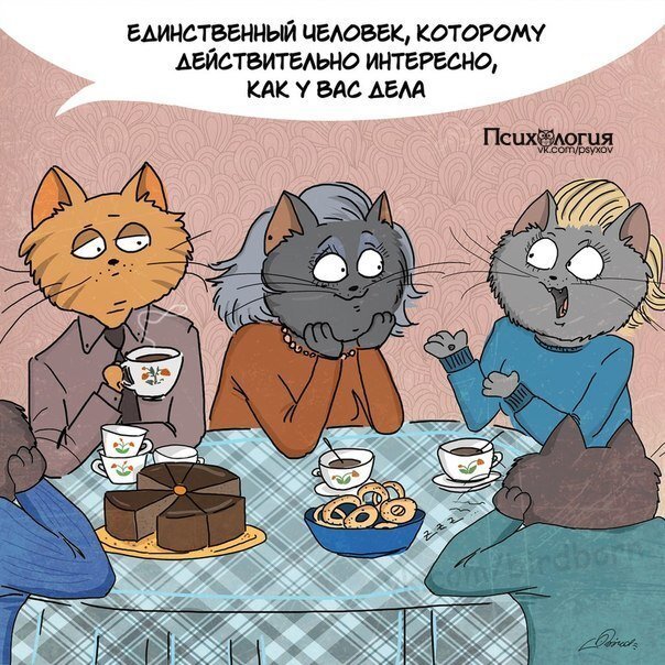 Фото из открытого источника 