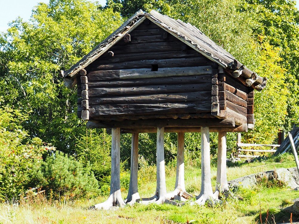 Изба без. Скансен избушка. Саамский стан Скансен. Саамский Амбар на курьих ножках. Скансен избушка на курьих ножках.