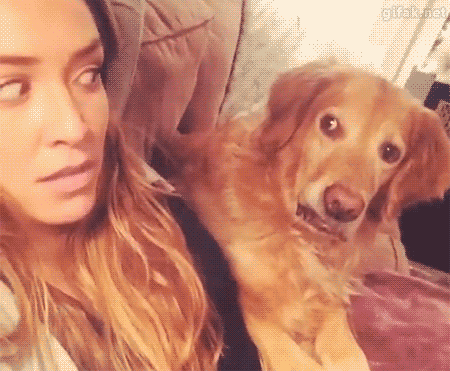 Собакен-визуал))