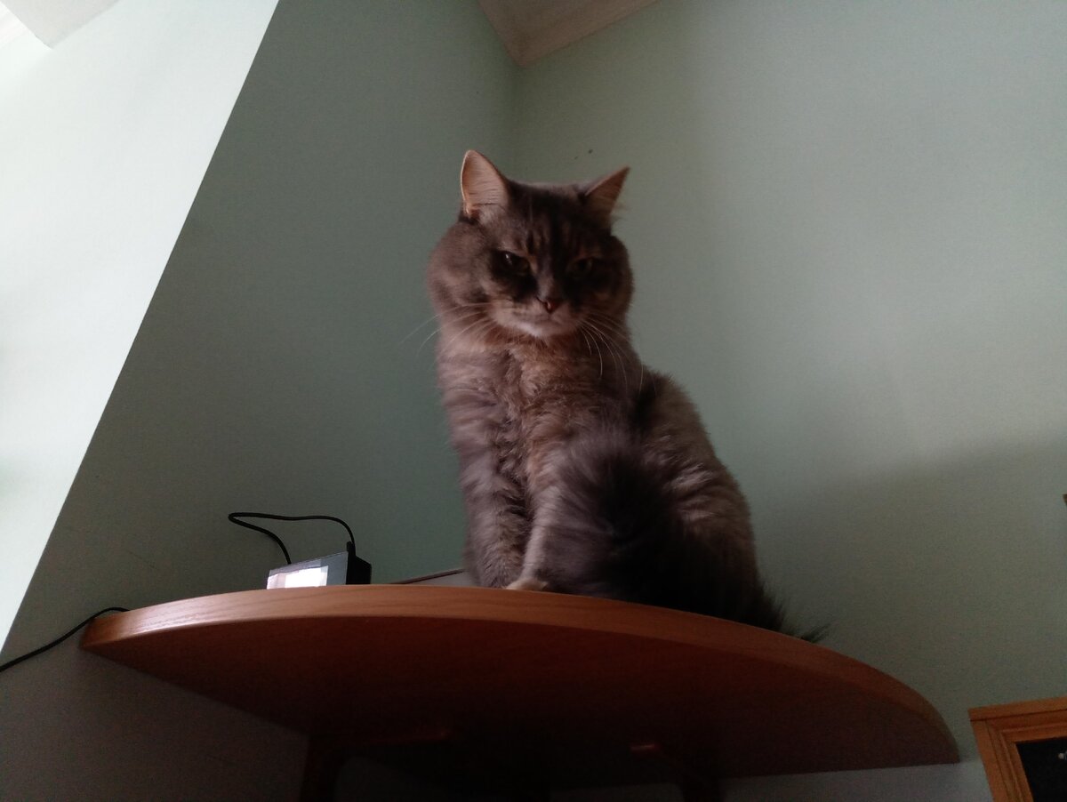 Маня на своей трибуне