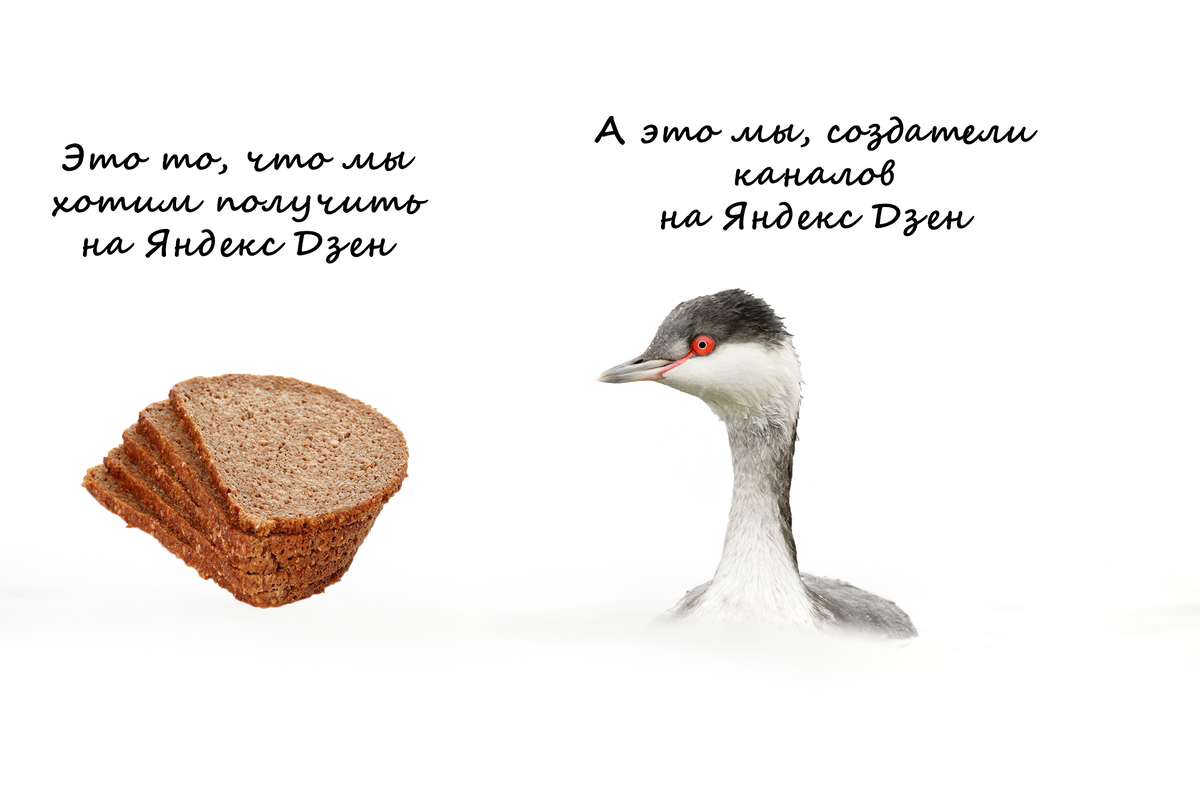 Я и мой кусочек хлеба))