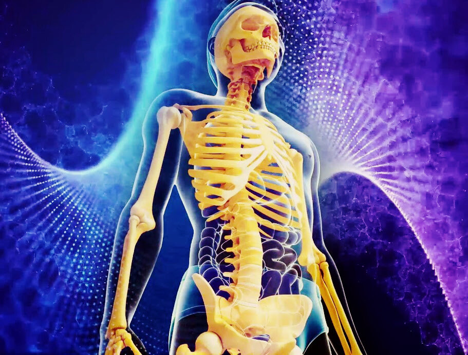 Мы растём всю жизнь?