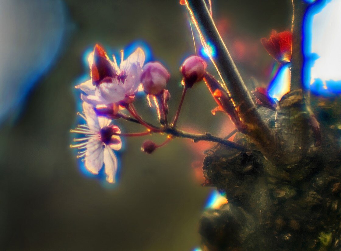 Источник: dpreview.com