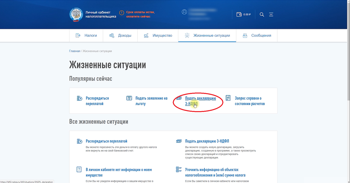 Как подать декларацию на госуслугах